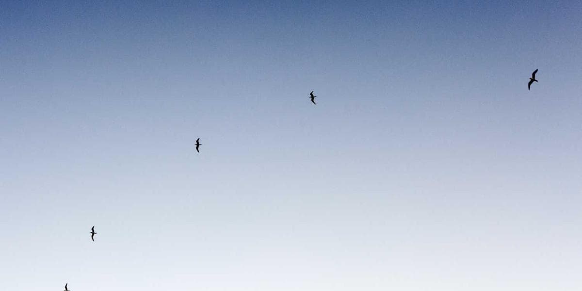 Fußball Hero Background